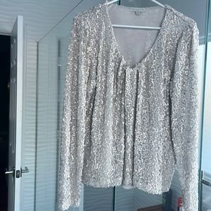 Silver sequin long sleeve top